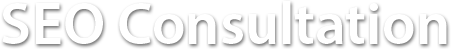 SEO Consultation